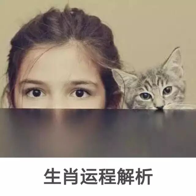 第一批生二胎的中年妇女已经成魔了