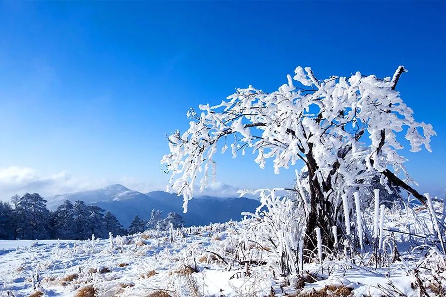 整个华夏大地都被白雪覆盖 中青邀你一起欣赏美丽雪景 领略银装素裹的