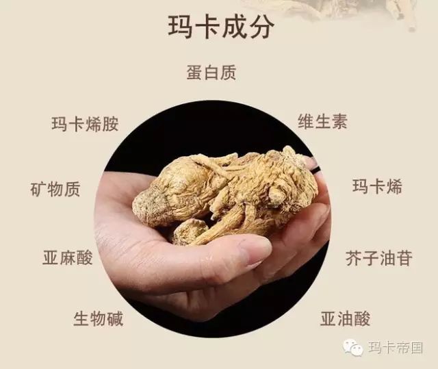 "——摘自《经济信息联播》 调节内分泌 玛卡烯和玛卡酰胺直接作用于