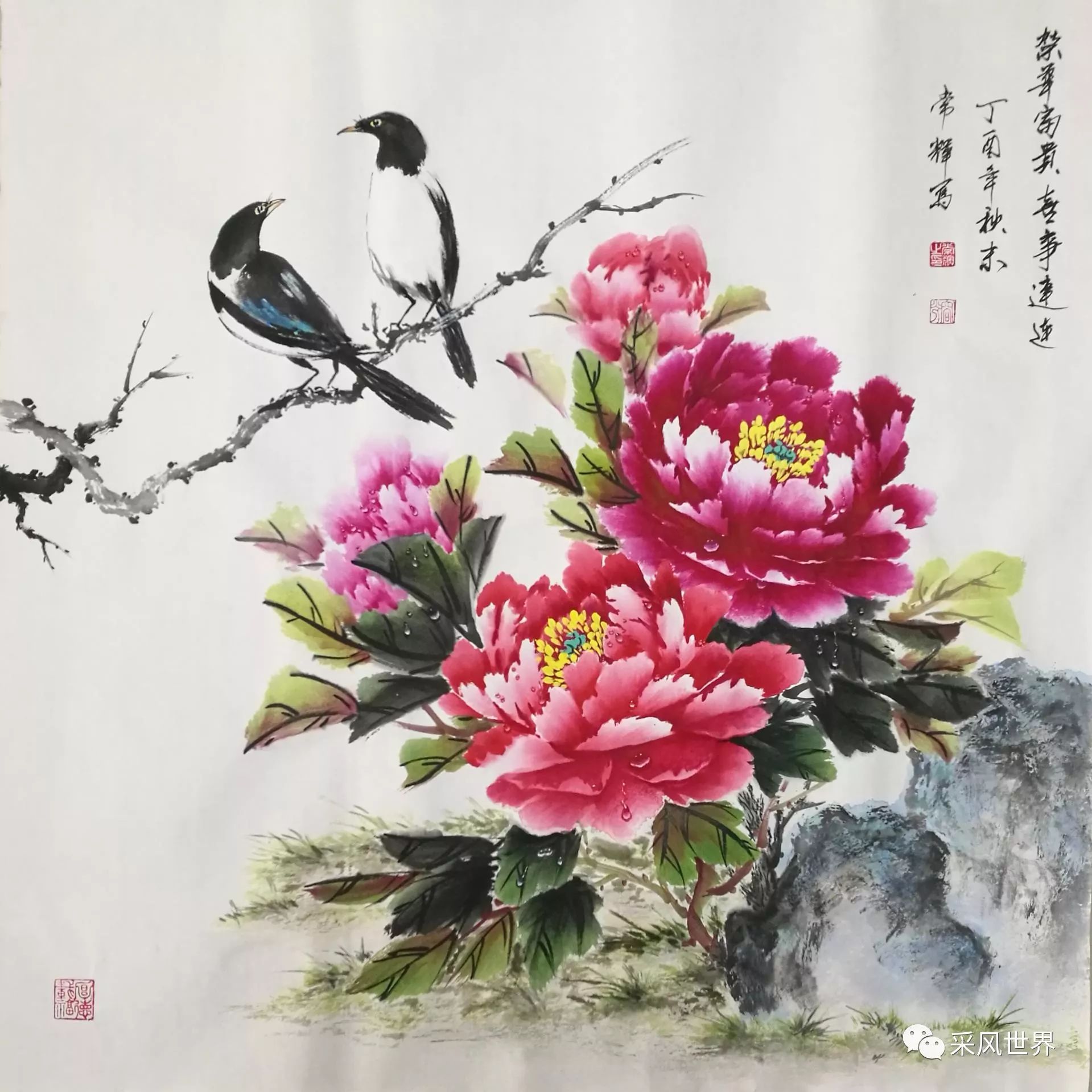 想做你笔下的一滴露珠——赏常辉老师露珠牡丹随想