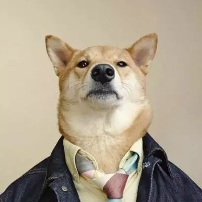 cc00ca04b43302ca6939f5018d4b5cf6.jpg