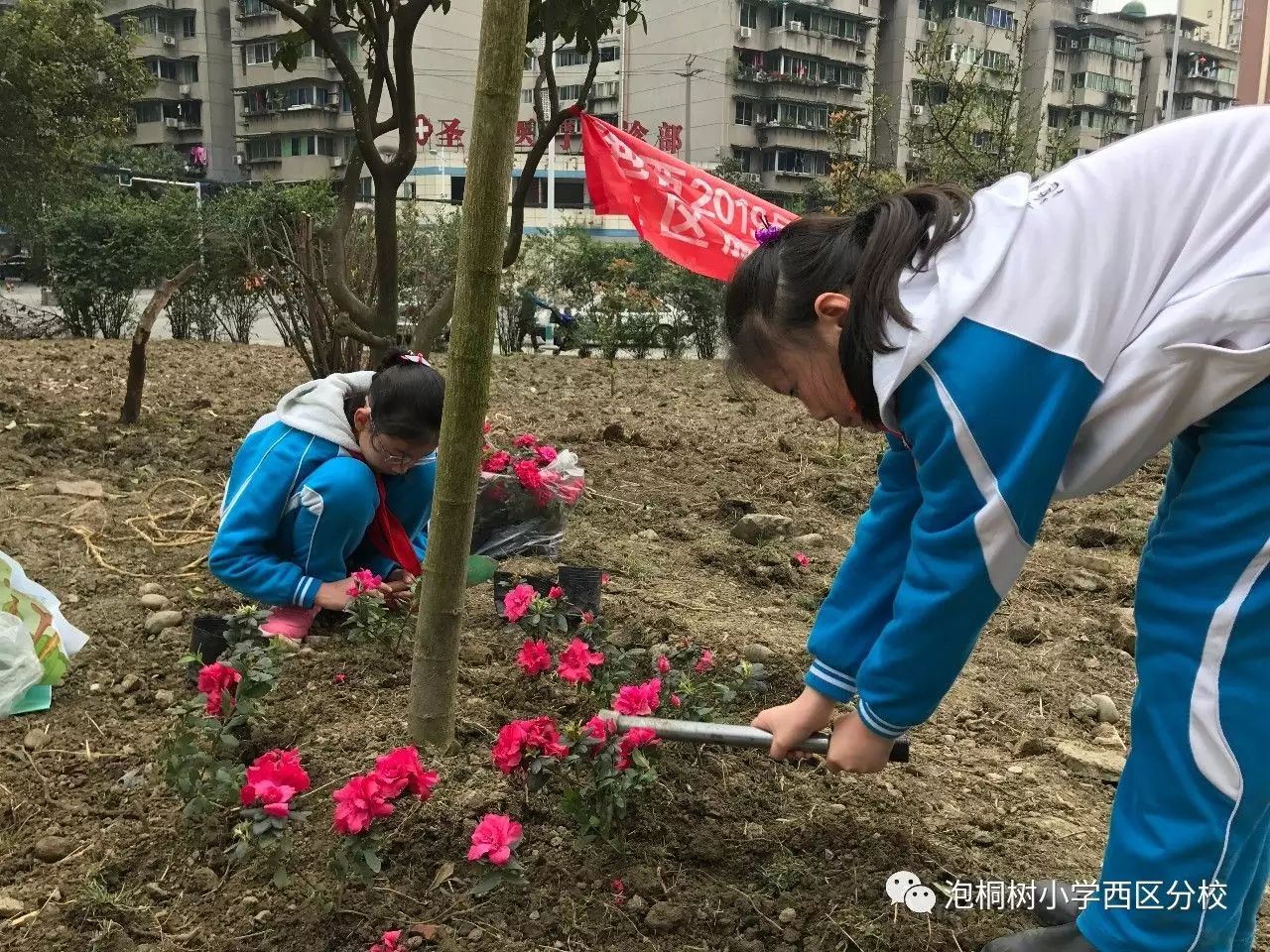 桐乐园种花种树种春天泡小西区社区体验课程启动仪式