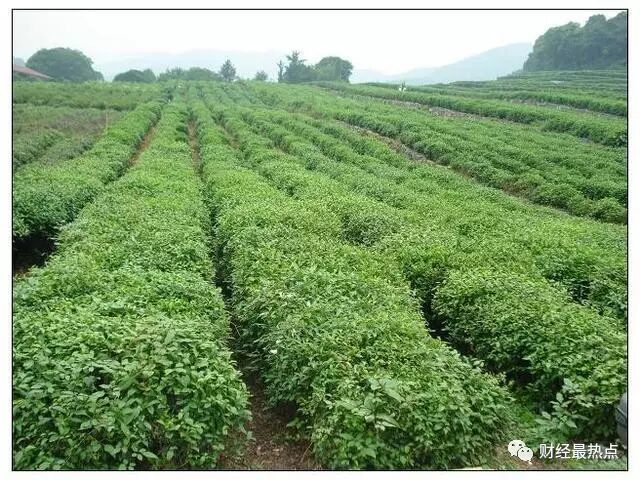 照相秘籍自拍姿势_创业项目创业好项目_自拍照相吧创业项目