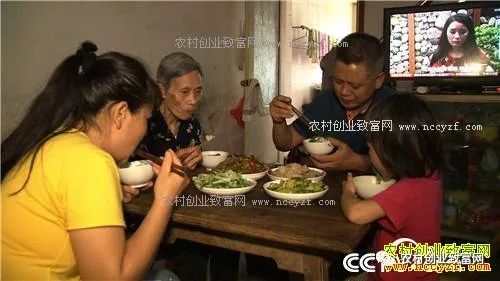 致富经养殖毒蛇视频_致富经养蛇_养蛇致富女蛇毒44亿