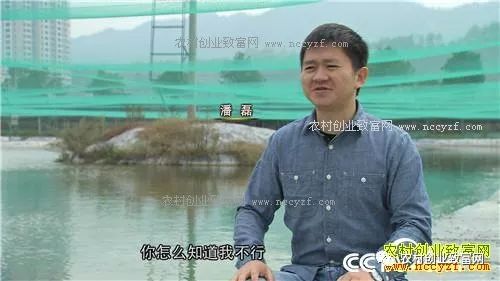 致富养殖泥鳅图片_致富养殖泥鳅视频_致富经泥鳅养殖