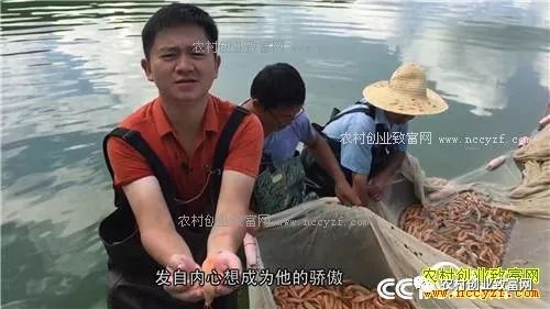 致富养殖泥鳅图片_致富经泥鳅养殖_致富养殖泥鳅视频