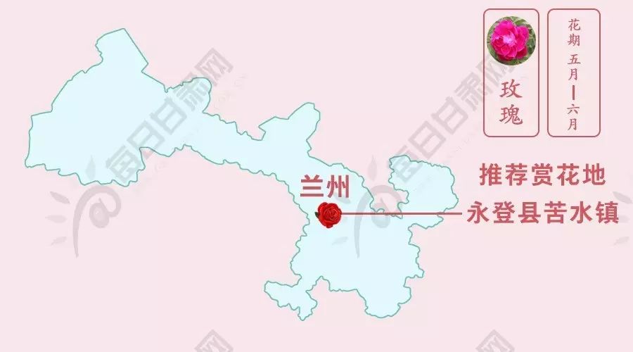 天水:以秦州区,秦安县居多,主要分布于渭河川道和山间梯田之中.图片