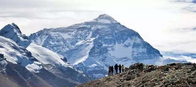 �����ŵ����������������ֻ�����һ���й���