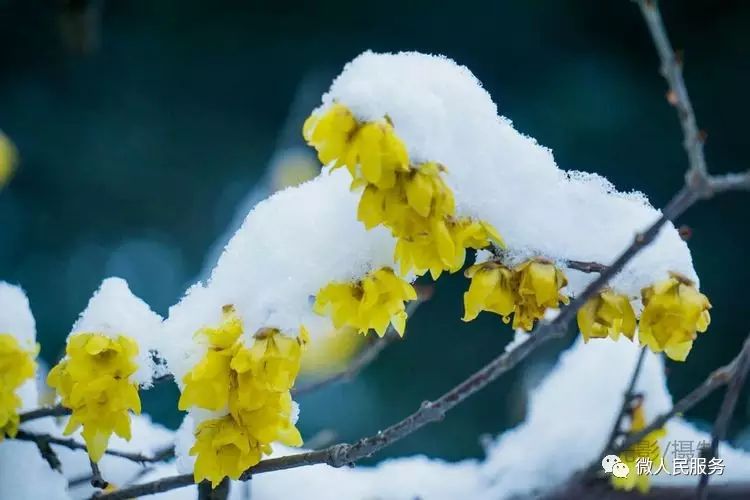 遂平·暴雪来袭,20℃直降到零下3℃