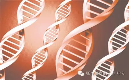 狐臭的遗传几率有多少？