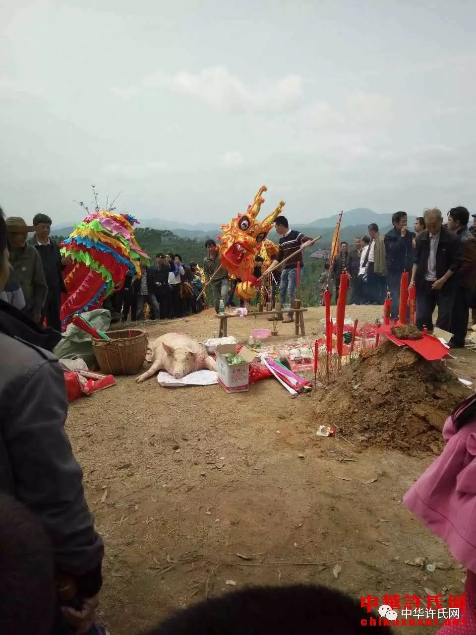 【祭祖】两广,海南近万许家人齐聚广西博白英桥镇许村