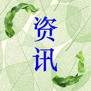 践行心理健康,助力生命成长 | 全省中小学教师心理健康公益演讲活动圆满落幕