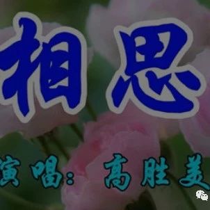 高胜美一首经典情歌《相思》好听极了!