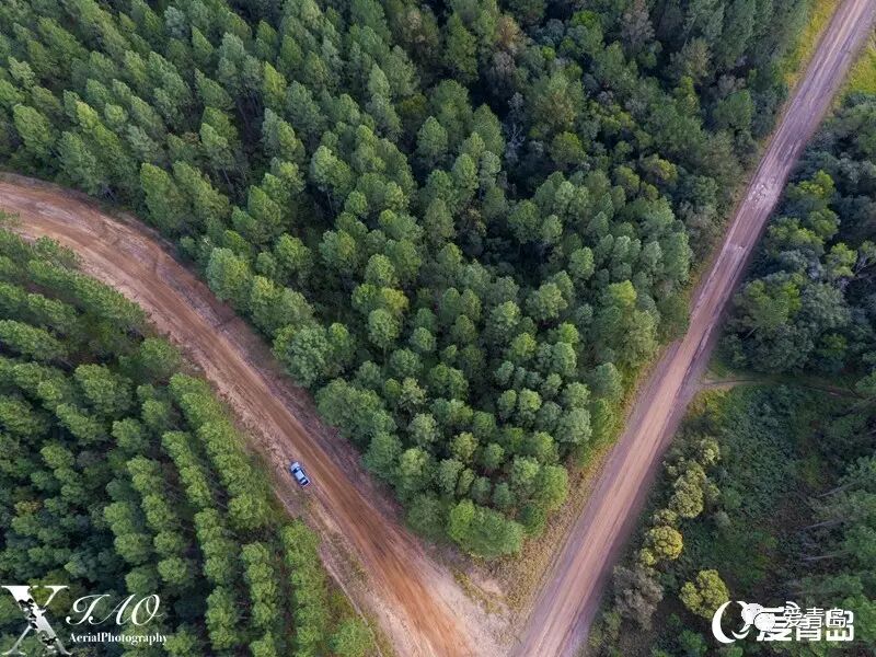 青岛女孩旅行航拍大片 美哭了这个世界