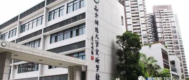南方科技大学第一实验小学 深圳职业技术学院 新丰小学 冠华育才学校 金碧实验学校 景山实验学校招聘教师公告 深圳教师招聘网