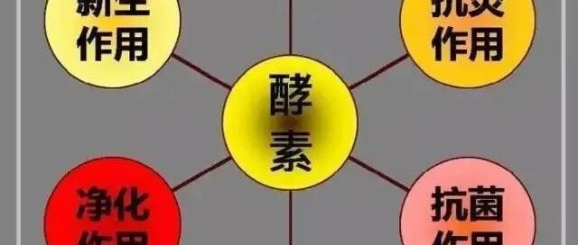饱受内分泌失调困扰？看酵素如何调节！