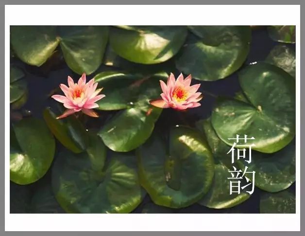 毫无意义的黑白