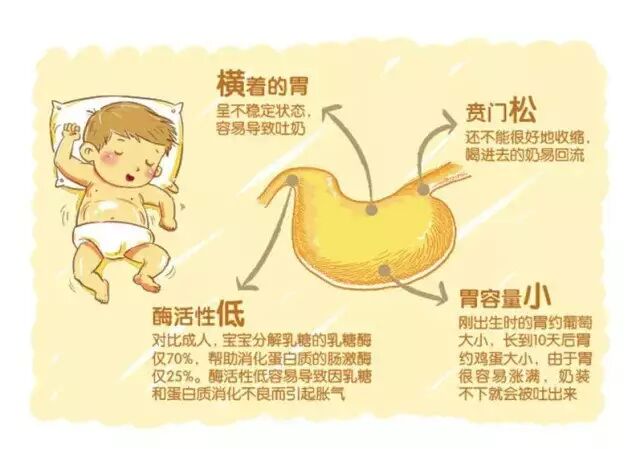 【新生儿护理】宝宝为什么需要拍嗝？你真的会给新生儿拍嗝吗？