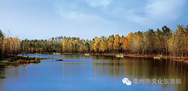 利辛县西淝河湿地公园被列入皖北生态文化旅游区规划
