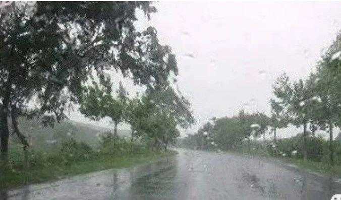 收录于合集⭐昨天下大雨，有人拍下这一幕，太罕见了！