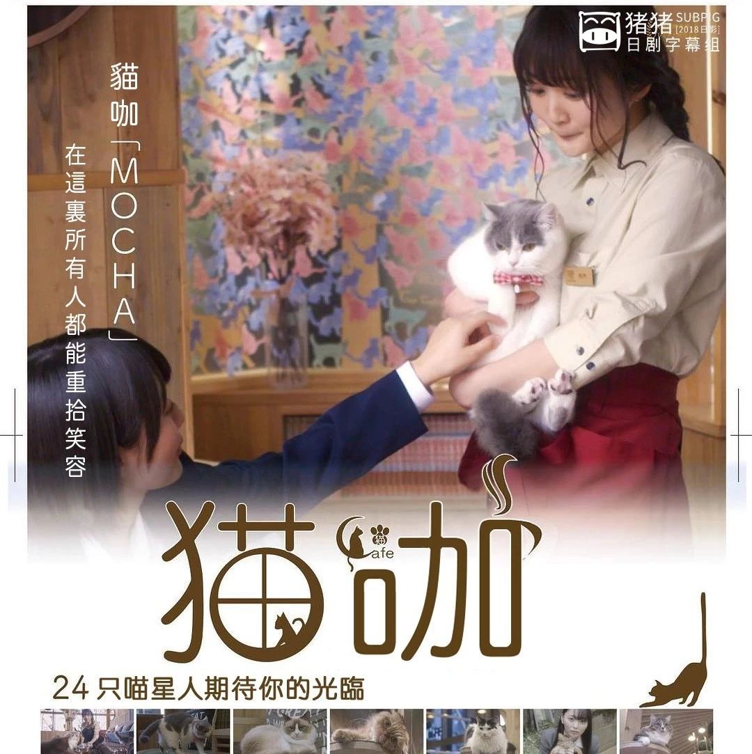 [SUBPIG][猫咖][720p][久保由利香 / 新井爱瞳 / 池内万作 / 小仓优香][2018日影]