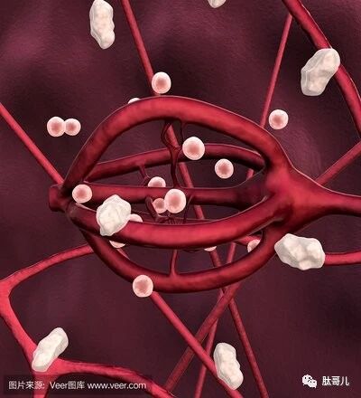 肽是脑力疲劳最好的恢复剂，肽是天然的镇定剂