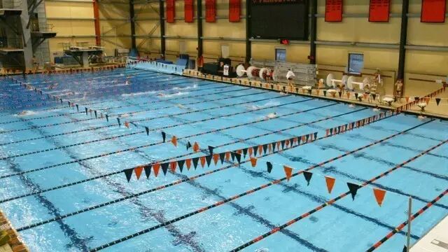 (图片来源于：普林斯顿大学官网，版权属于原作者)