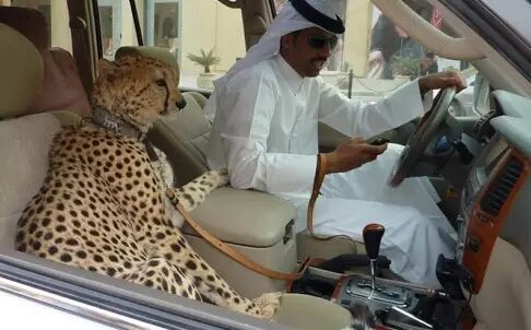 （图片来源于网络，版权属于原作者）