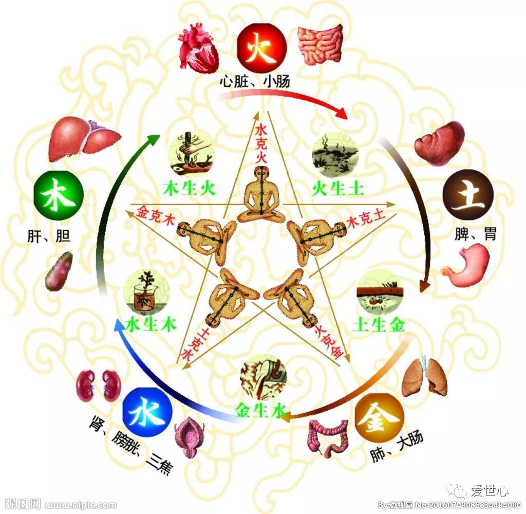 如何调理五脏六腑