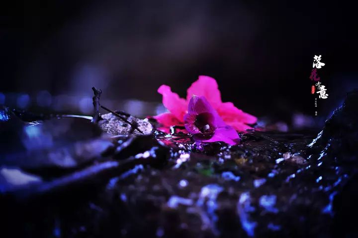 落红不是无情物, 化作春泥更护花