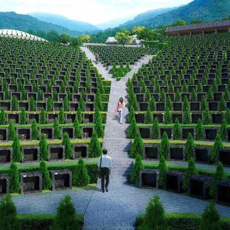 提前为老人选择墓地到底好不好？