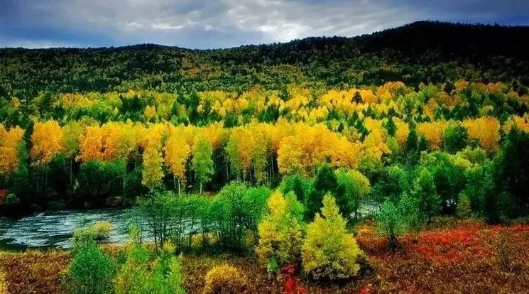 【国庆自驾】“穿越油画森林,邂逅五彩山色”临江雪村、丹东中朝边境四日游!