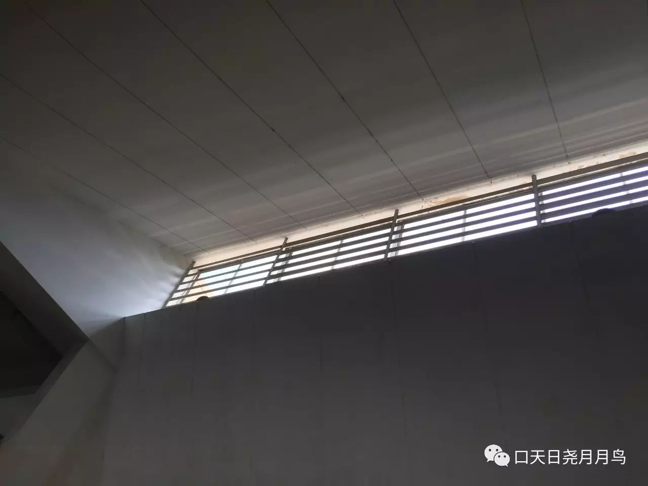 今晚睡红楼还是青楼 聊聊同济建筑系馆 自由微信 Freewechat