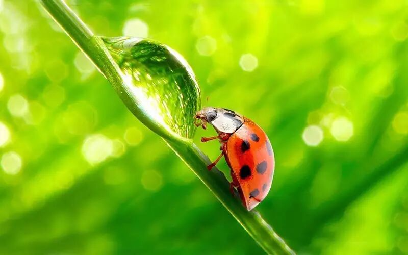 ps标尺快捷键_ps剪裁图片标尺_ps标尺怎么调出来