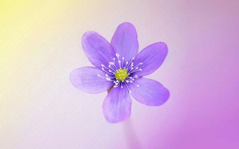 ps标尺快捷键_ps标尺怎么调出来_ps剪裁图片标尺