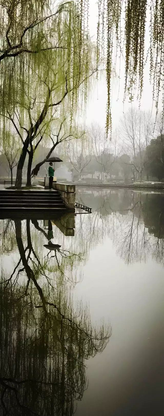 三月等君来 江南烟雨中