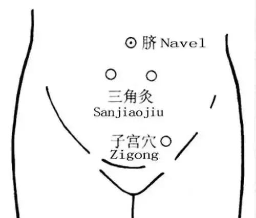 人体暗藏7大黄金三角区,养好了百病不扰!