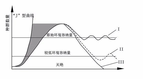 最大限值