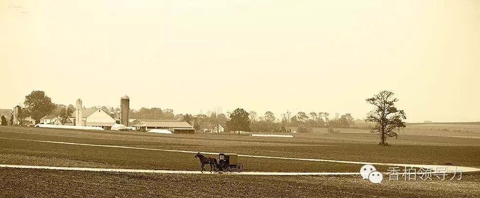 以诺 大意失宾州 深度解析希拉里何以惨败 自由微信 Freewechat