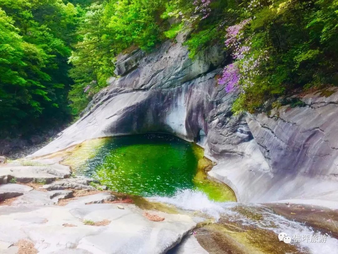 鸟语花香秦岭佛坪国宝旅游度假区可与国宝大熊猫近距离接触峰岭叠嶂