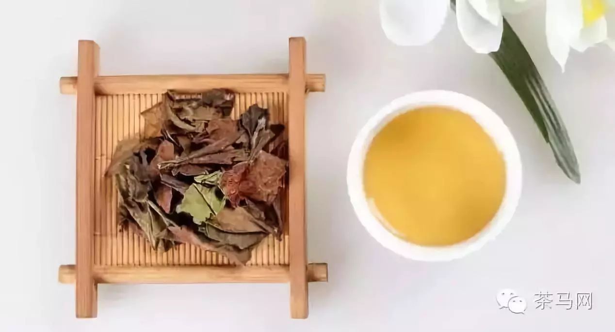 关于茶的文化：白茶怎样泡，味道更好