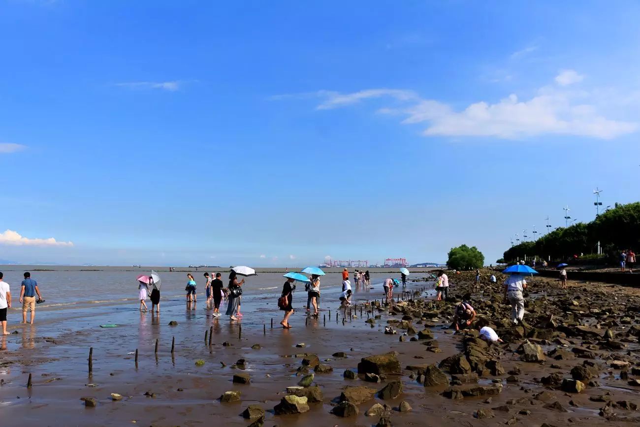 最多也只能在南沙滨海公园海边走走