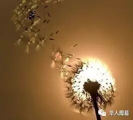 幸福,那么近又那么远