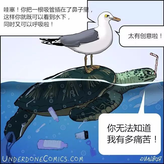 漫畫：海洋污染不是鬧着玩的事_少年科學畫報 微文庫
