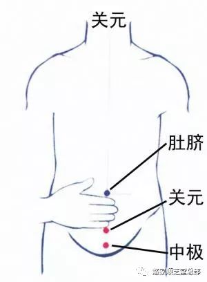 取穴:关元,气海,神阙,命门 关元:关元穴在肚脐下三寸艾灸关元穴可增强