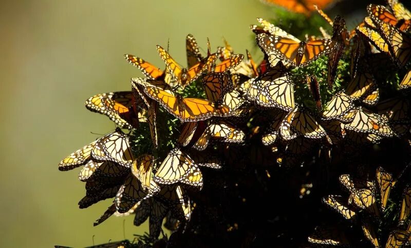 磁盘驱动器属于什么设备 迁移到 Linux：磁盘、文件、和文件系统 | Linux 中国