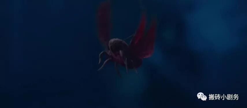 圖解 |《紅衣小女孩2》下 高口碑恐怖佳作，做好準備了嗎？ 靈異 第199張