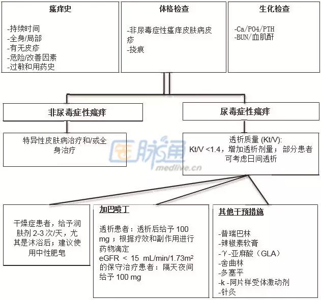 慢性肾脏病瘙痒治疗流程图