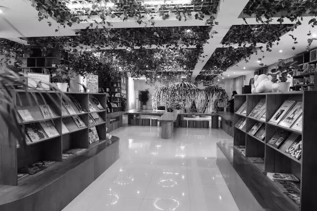 闫学:我 闫学:我是校长,更是读书人 <wbr>| <wbr>一位特级教师的学思历程