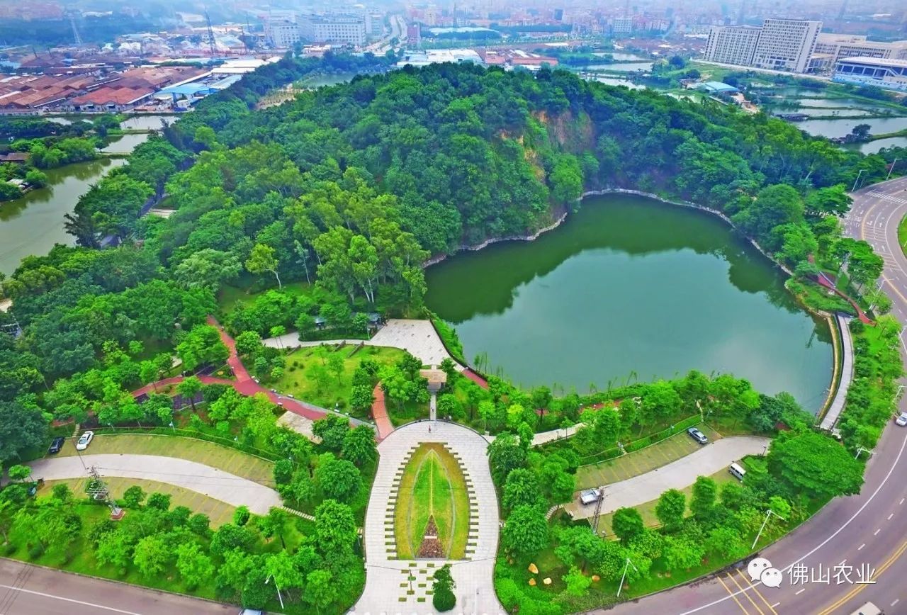 55个千亩以上公园,15个生态绿心,佛山要打造大湾区高品质森林城市!